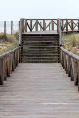Fototapeta premium Wooden footbridge in the dunes of the beach