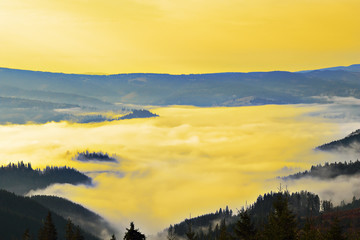 foggy morning in Carpathian mountains
