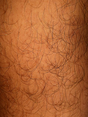 Mans hairy of shin leg texture