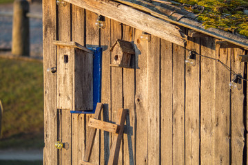 Birdhouses of different sizes on a wooden wall.