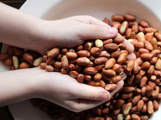 Ground peanuts in children's hands