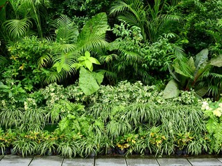 green plant of bush