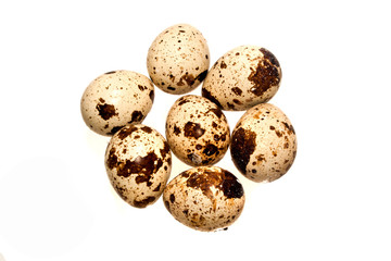 egg isolated on white background