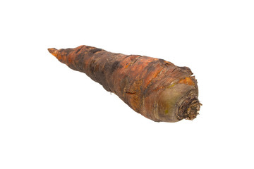 carrot isolated on white background