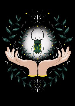 Hands praising a bug