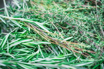 rosemary green background