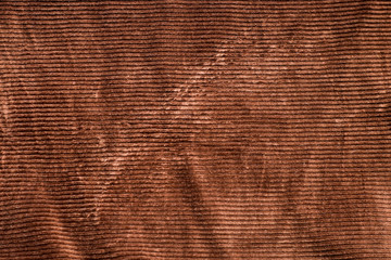 dark chocolate brown corduroy close-up