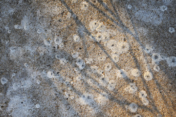 old stone background