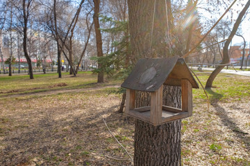 bird feeder weighs on a tree in spring