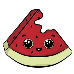 illustration of watermelon on white background