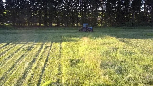 aerial picture mowing-machine turns to next furrow to cut green hay grass to swathes in trees shadow on hot summer day
