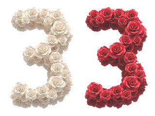 Red and White roses font.