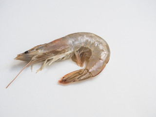 White shrimp on white background