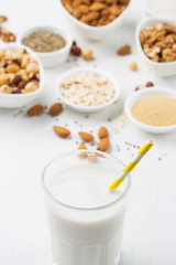 Obraz na płótnie Canvas Vegan nut milk and ingredients