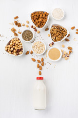 Fototapeta na wymiar Vegan nut milk and ingredients
