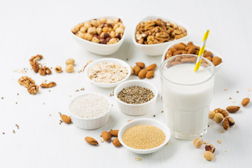 Vegan nut milk and ingredients