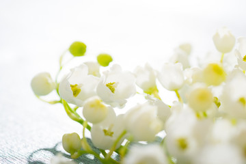 Lily of the valley flowers on cracked blue wood table background