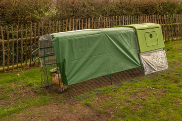 A full length shot of a green modern bright looking chicken coup or hen house with covered top © Wise Dog Studios