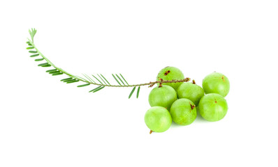 gooseberries Indian gooseberry on white background