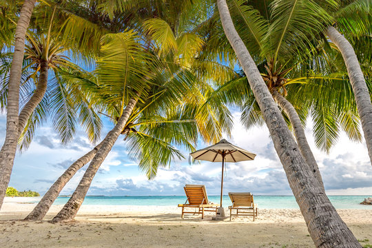 Wonderful beach scenery, palms and sun beds with sea view. Tropical beach landscape as summer vacation and holiday resort template
