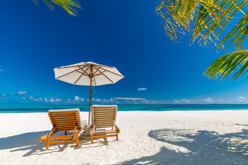 Tranquil scenery, relaxing beach, tropical landscape design. Summer vacation travel holiday design. Tropical beach background as summer landscape with lounge chairs and palm trees and calm sea