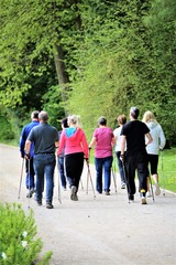 group of people walking in the park