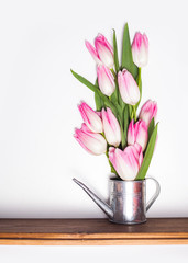 Pink tulip flowers bouquet on white background