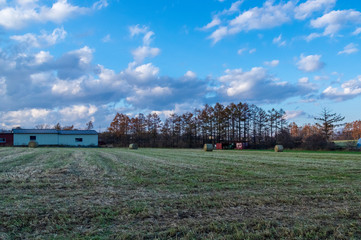 Obraz premium 富士見町井戸尻遺跡 