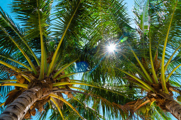 Obraz premium sfondo isola tropicale