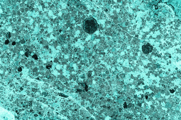 Vintage azure background. Rough painted wall of turquoise color. Imperfect plane of cyan colored. Uneven old decorative toned backdrop of aqzure tint. Texture of teal hue. Ornamental stony surface.