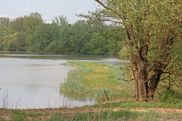 Teich im Fr&uuml;hling