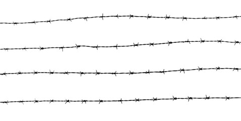 silhouette of barbed wire on white background