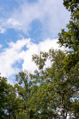 帯広市緑ヶ丘公園