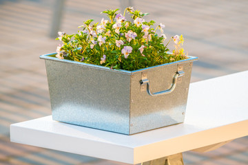 Metal pot with yellow flowers on the bench.