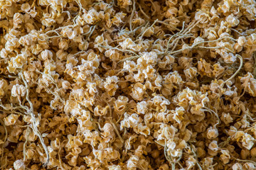Background of dried European elderberries (Sambucus nigra)