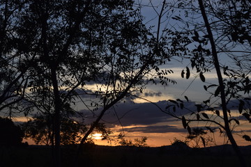 Fototapeta premium Pôr-do-Sol em paisagem rural. Silhueta de árvore