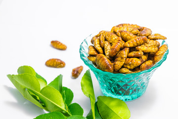 Fried silkworm's pupa