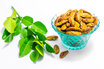 Fried silkworm's pupa