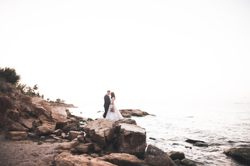 Happy wedding couple staying over beautiful landscape