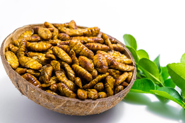 Fried silkworm's pupa