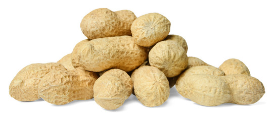 Fototapeta na wymiar A bunch of peanuts on a white isolated background. Close-up. Side view.