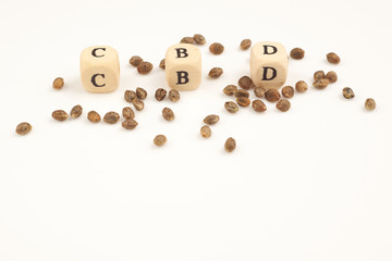 Hemp seeds on white background with alphabet cubes CBD