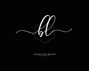 B L BL initial logo handwriting  template vector