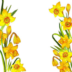 narcissus yellow watercolor flower frame