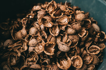 walnut shell background peeling walnut core