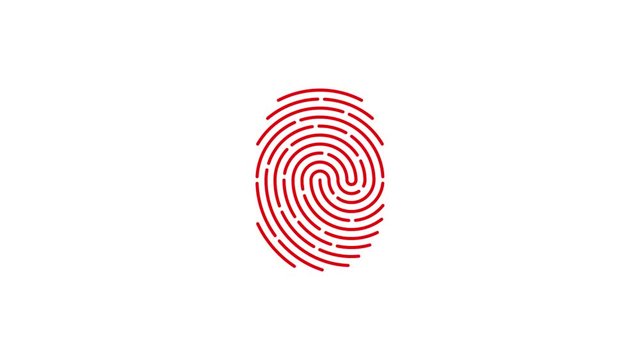Fingerprint scan icon animation with failed authentification on white background. Futuristic Touch ID technology of mobile security for unlock device