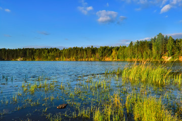 Summer landscape trees reflected in the mirror of the river.