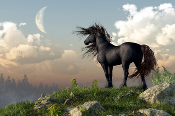 A black coated Friesian horse rears up on a small grassy cliff. The night wind blows through the animal's mane and tail. Behind it, the full moon fills the sky. 3D Rendering © Daniel Eskridge