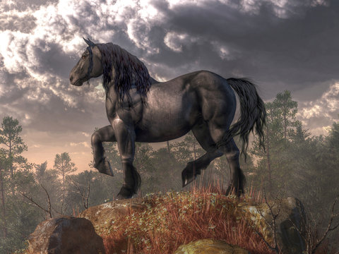 Atop the hill stands a majestic horse with a dark grey coat, brown eyes, and a black mane and tail.  Overhead, foreboding clouds fill the sky. 3D Rendering