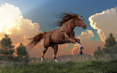 A thoroughbred horse, with a chestnut colored coat with three white socks, and a head with a white star and narrow stripe, gallops over grassy, wildflower covered hills. 3D Rendering - obrazy, fototapety, plakaty